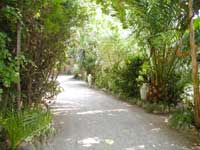 Webcam et Panoramique